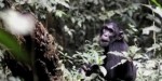 East African Explorers4